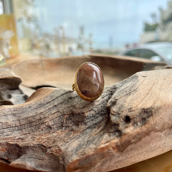 Petrified Wood Ring in Gold