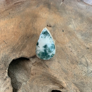 Moss Agate Ring in Silver