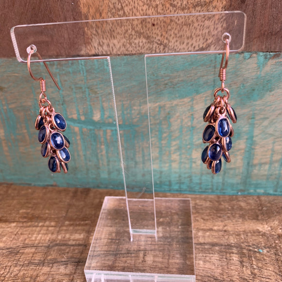 Silver - Kyanite Grape Earrings